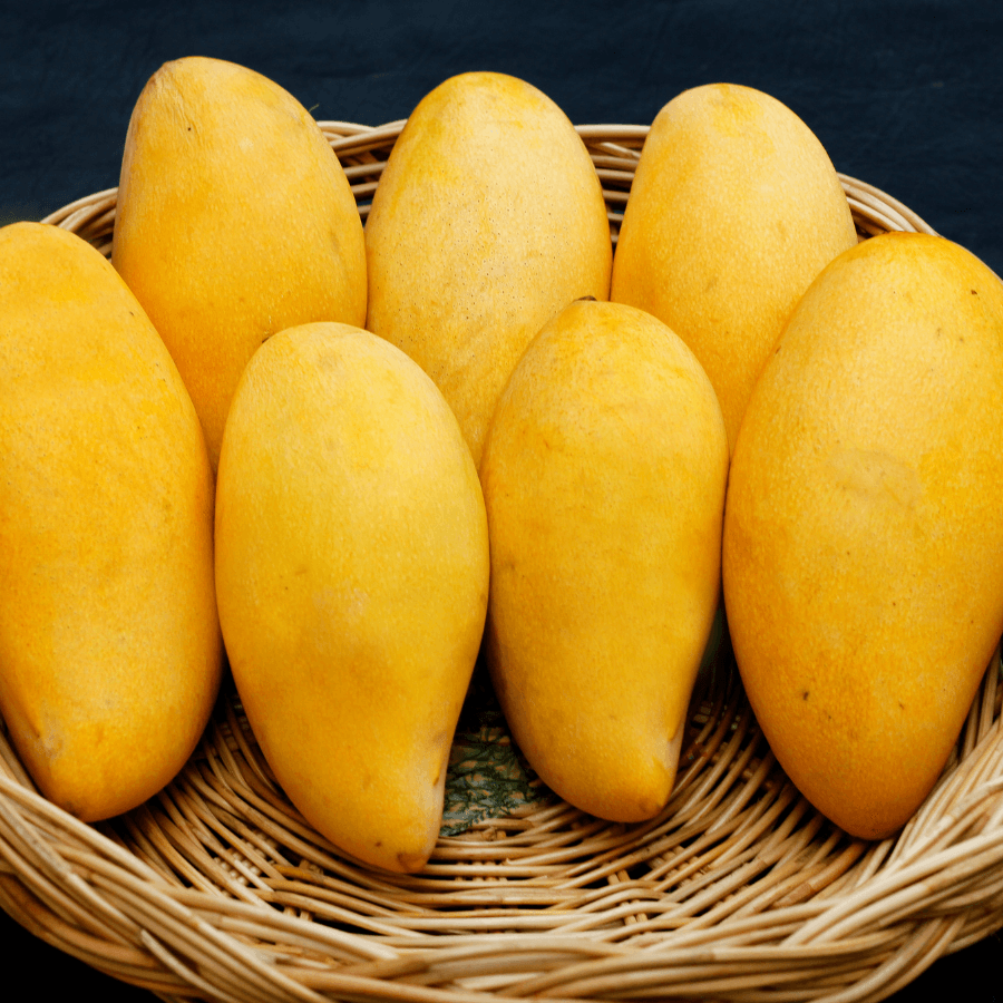RASALU Mango