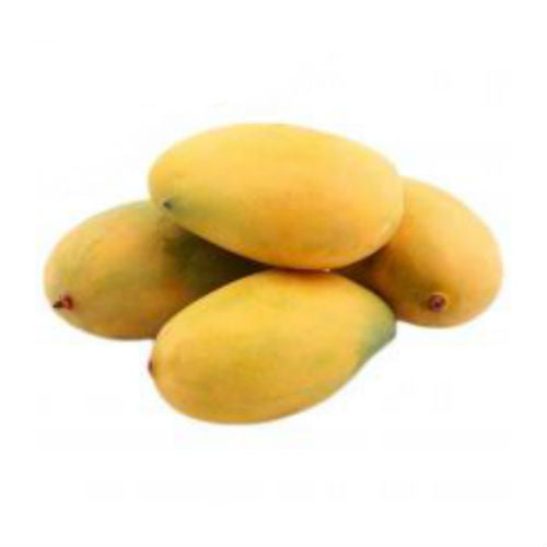 MALLIKA Mango