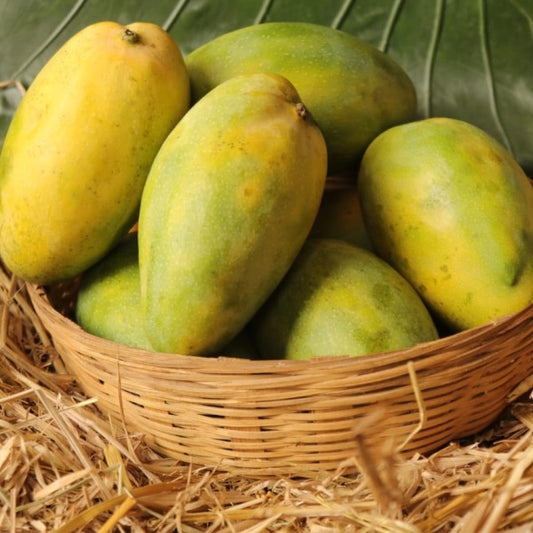HIMAYAT Mango