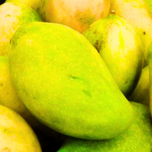 RAJAPURI Mango – A1Mangos