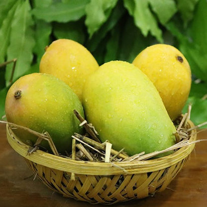 online Indian Mangos in USA